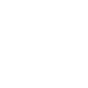 KPMG TEXT